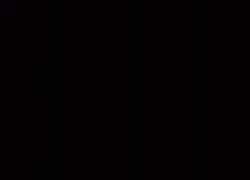 8181323 B