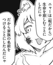 55681 B