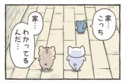 78681 B