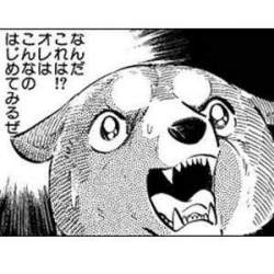 23192 B