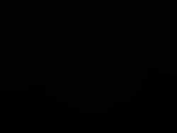 4667098 B