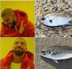 159829 B
