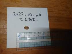 172269 B