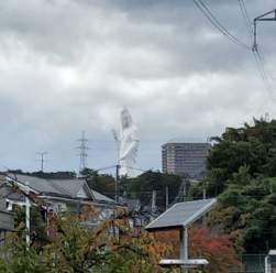 1231774 B