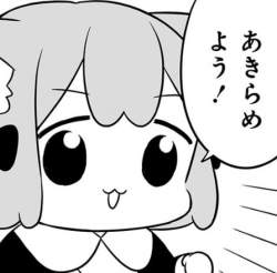 49853 B