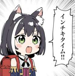 213494 B