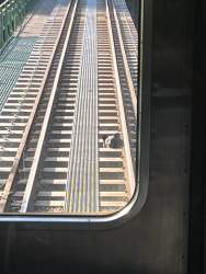 380110 B