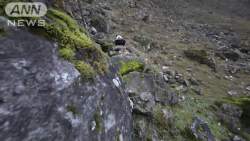 6150982 B