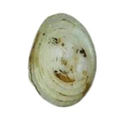 130501 B