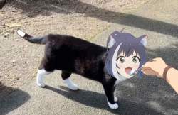 1909592 B