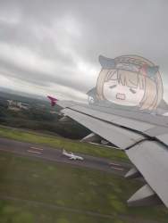1683394 B