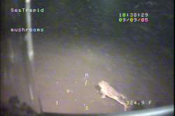 102671 B