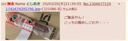 115631 B
