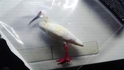 365936 B