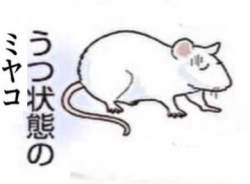 66889 B