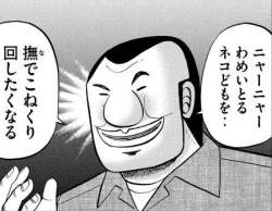 44555 B