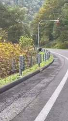 2874355 B