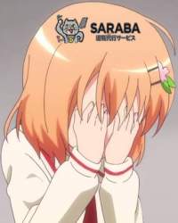 53928 B
