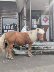 5027554 B