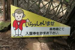 1637888 B