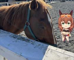 492465 B