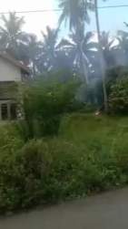 2803262 B