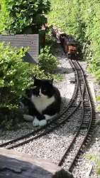 5069768 B