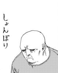5264 B