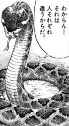 1033976 B