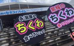 54731 B