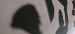 2282728 B